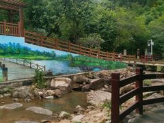 -广州白江湖森林公园