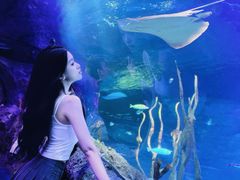 -沈阳海洋探索中心