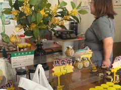 -苏州市吴中区光福窑上花果蜜饯厂