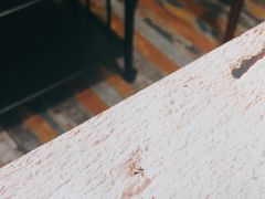 -春润大地海南椰子鸡(沙井京基百纳广场店)