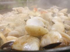 -顺德哥卜卜贝(旗舰店)