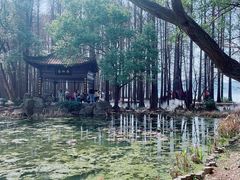 -东湖落雁景区