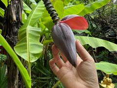 -三圣花乡旅游区