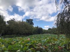-月牙潭公园