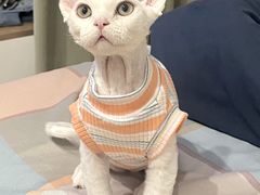 -天宠宠物医院24小时·急重症诊疗中心·全科·腔镜特色(和平分院)