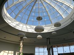 -大连金石滩绿发温泉假日酒店