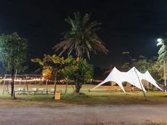 -陶缘一号·四季缘·老字号顺德菜·户外婚礼家宴(西滘店)