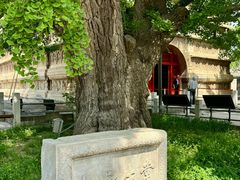 -北京石刻艺术博物馆(五塔寺)