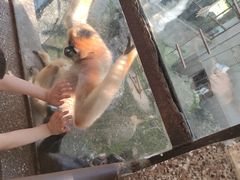 -昆明动物园