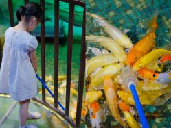 -酷嗒动物文化乐园(cutezoo西溪乐天城店)