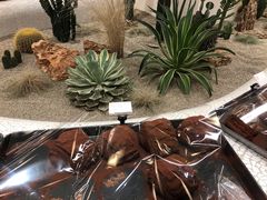 -OUR Bakery(SKP-S店)