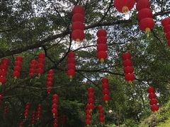 -广州市流溪河国家森林公园