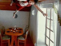 -金山农民画村-枫泾波兰倒置屋