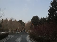 -长春市南湖公园