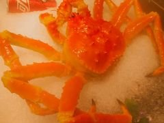 -上清·三文鱼鲜寿司(同德店)