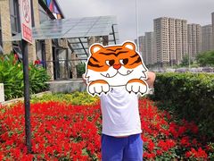 -丁香湖公园
