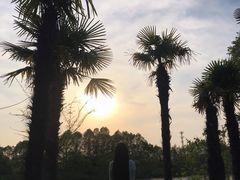 -上海怡沁园度假酒店
