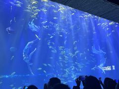 -华夏文旅海洋公园