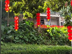 -广州市帽峰山景区