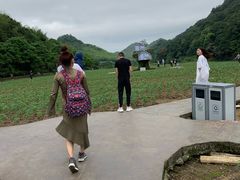 -广州市石门国家森林公园