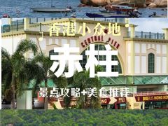 -Big Bus Tours 敞篷观光巴士