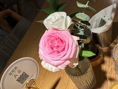 -cocopai可可派·City(步步高新天地店)