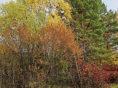 -北极村旅游风景区