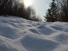 -长春世界雕塑园冰雪艺术天地