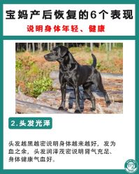 -成都市妇女儿童中心医院(中心院区)