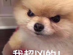 -韩国料理大力士(屏风街店)