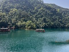 -鼎湖山风景区