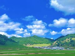 -关山草原
