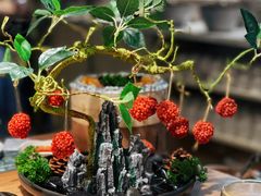 黑松露荔枝虾球树-一朵菌·野生菌探索家火锅(南亚店)