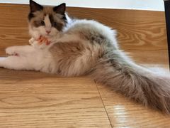 -iF摄影•全家福•证件照•形象照(南山店)