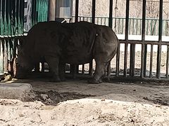 -哈尔滨北方森林动物园