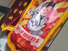 -pd派德宠物中心医院24H急重症·眼科中心·血液透析中心(嵩山北路店)