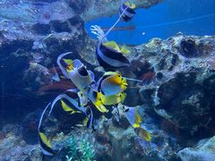 -海合安成都极地海洋公园