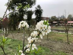 -洪湖家庭农场·团建·露营·会议