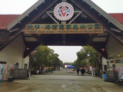 -上海海湾国家森林公园