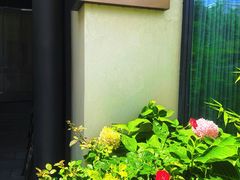 -蘇锦宴·淮扬菜烤鸭·小院(三元桥霄云路店)