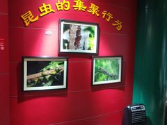 -上海昆虫博物馆