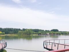 -东郊湿地公园