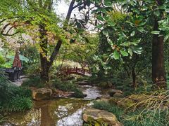 -中国茶叶博物馆(双峰馆区)