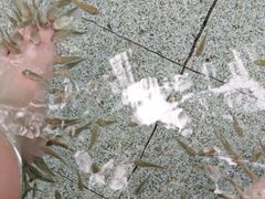 -碧水湾温泉