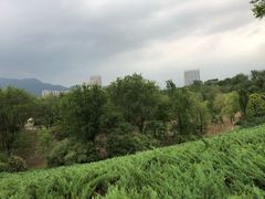 -滨河世纪广场公园
