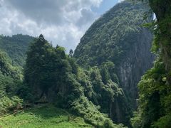 -鹿院坪生态旅游景区