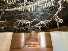 -世界恐龙谷景区