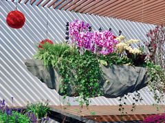 -海心沙亚运公园