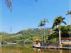 -深圳仙湖植物园