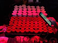 -贰麻酒馆(金山斗酒场店)